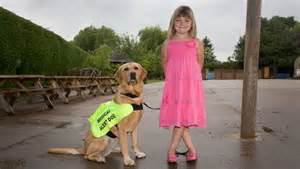 Savvy about Diabetes Alert Dogs