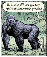 More Savvy about the Gut and Being Vegan