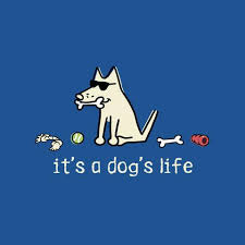 A Dog’s Life: A new social group on TuDiabetes!