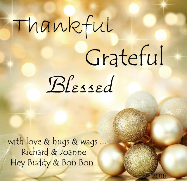 Wishing You Blessings and Joy, O Savvy Ones!