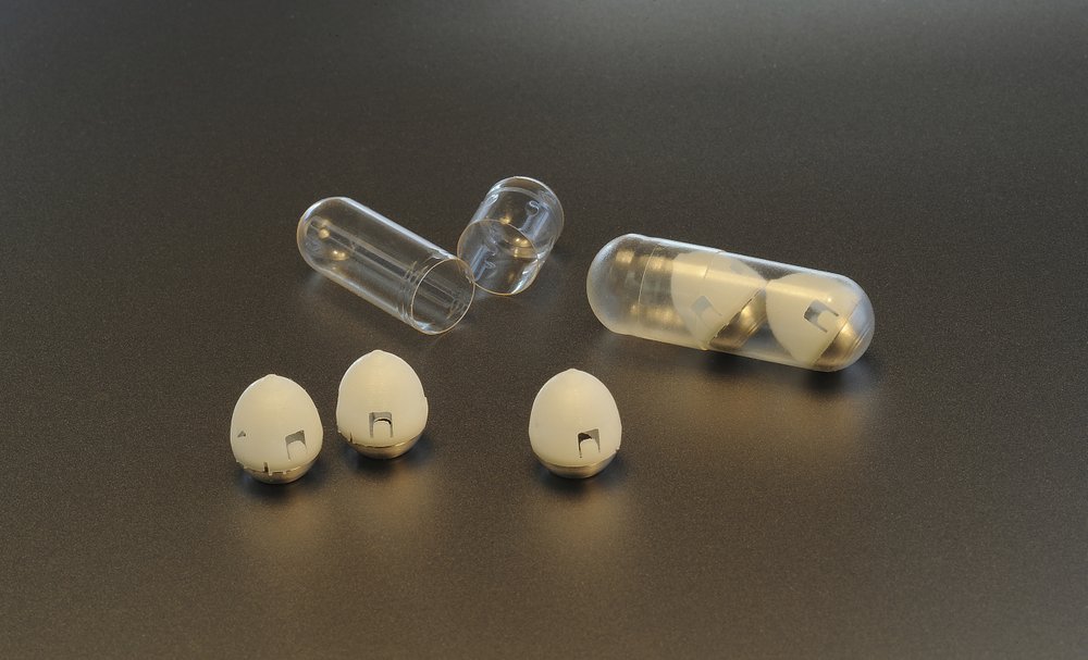 Savvy Updates, 2/11/19: Insulin Pill, Replicating Insulin Cells, Post-prandial spikes, Faustman and BCG Vaccine