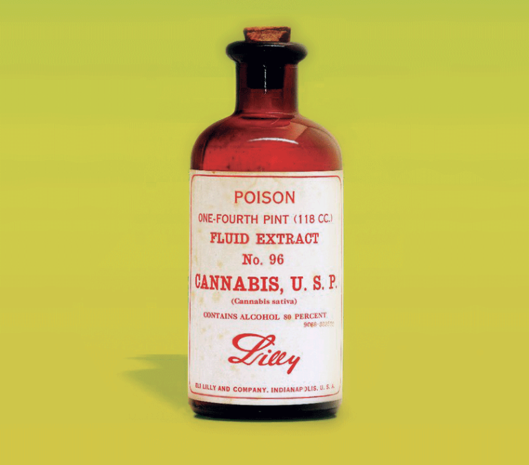 Savvy Updates 3/11/19: FDA Shake Up, Senseonics New CMO, Lilly and Cannabis, Gut Microbes