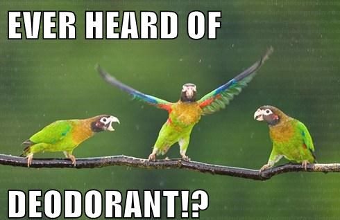 Savvy Food/Living, 4/24/19: Lemon and Natural Deodorants