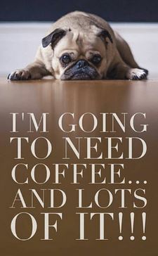 Cool Savvy News, 4/19/19: #1 Piece of Advice, Low-Carb English Muffins, Coffee ‘Not Essential’ to Swiss, Exercise and Your Brain, More on Sleep