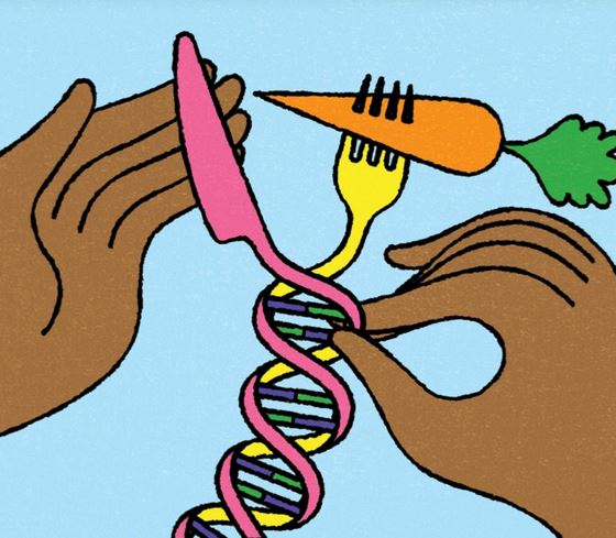 Savvy Foods, 6/5/19: Blueberries, Mediterranean Diet and Memory, Japanese Harahachi-Bunme, DNA Diet