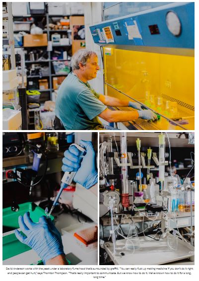 Savvy Updates, 6/3/2019: Hybrid Immune Cells, FDA Looking for Feedback, Vitamin D, Islet Cell Transplant Gets Orphan Status, Biohackers