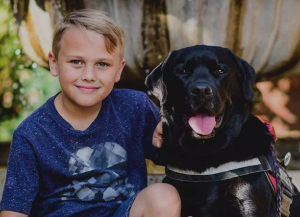 Savvy Friday Fun, 8/23/19:  Update on Luke+Jedi and A Medical Giggle Blog