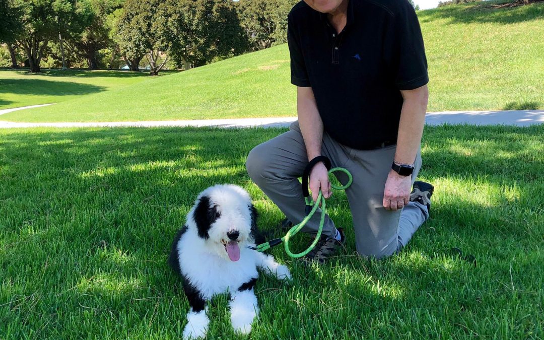 Savvy Pets, 9/27/19:  Awwww, Coda!