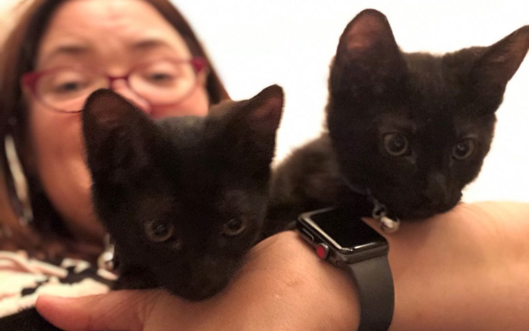 Savvy Pets:  Please Meet Archie and Abigail!