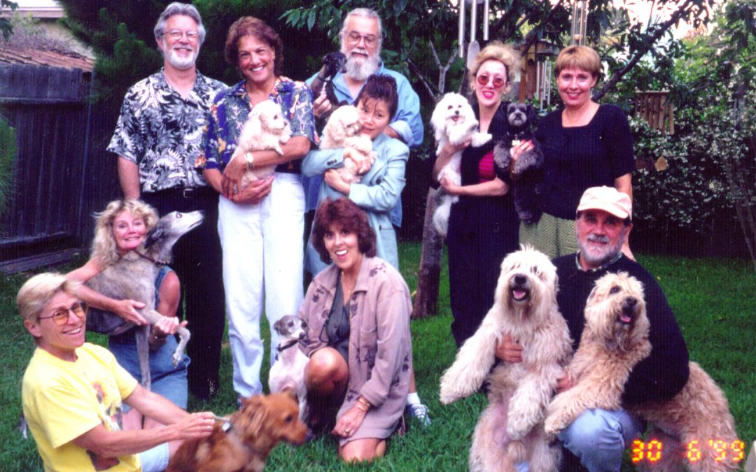 Savvy Pets, 11/8/19:   Dog People Live Longer … and a Pup Gallery of Pix