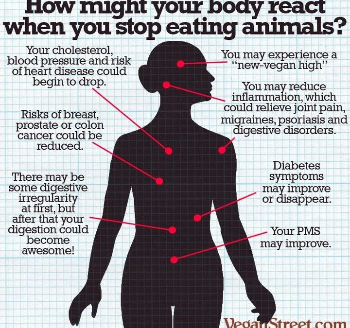Savvy Eating, 10/30/19:  Cleaning Mushrooms, Nuts and More Nuts, What Happens When You Go Meat-Free, Drugs & Gut Microbiome
