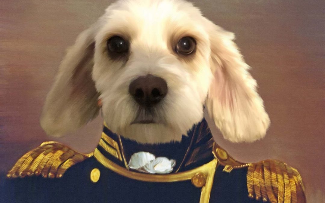 Savvy Pets, 2/28/20:  Meet Rocky, the Snuggling CockaPoo … and Whiskey Knows Her Toys