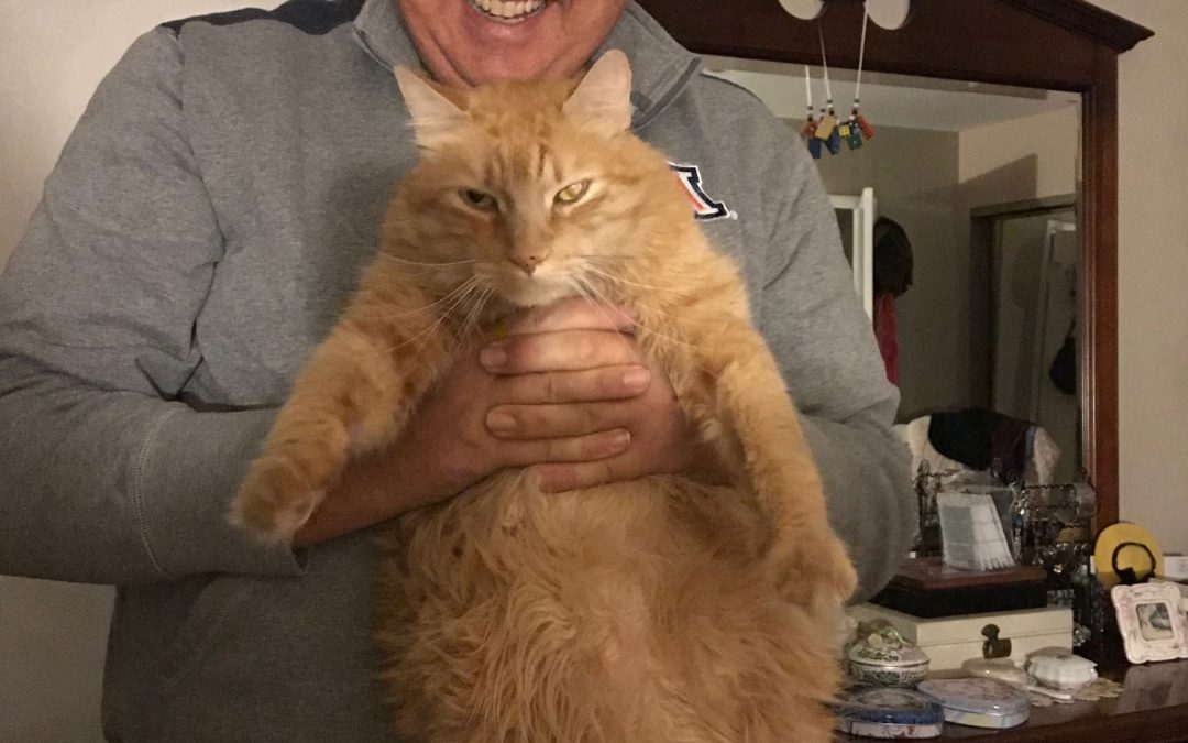 Savvy Pets, 2/21/20:  Hello, Sweet Crosby (aka Cord Eater) … and Music that Soothes Cats