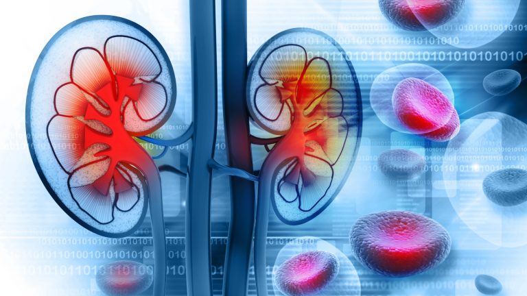 Savvy Updates, 2/17/20: Stem cells for ailing kidneys, Brain function in T1 kids