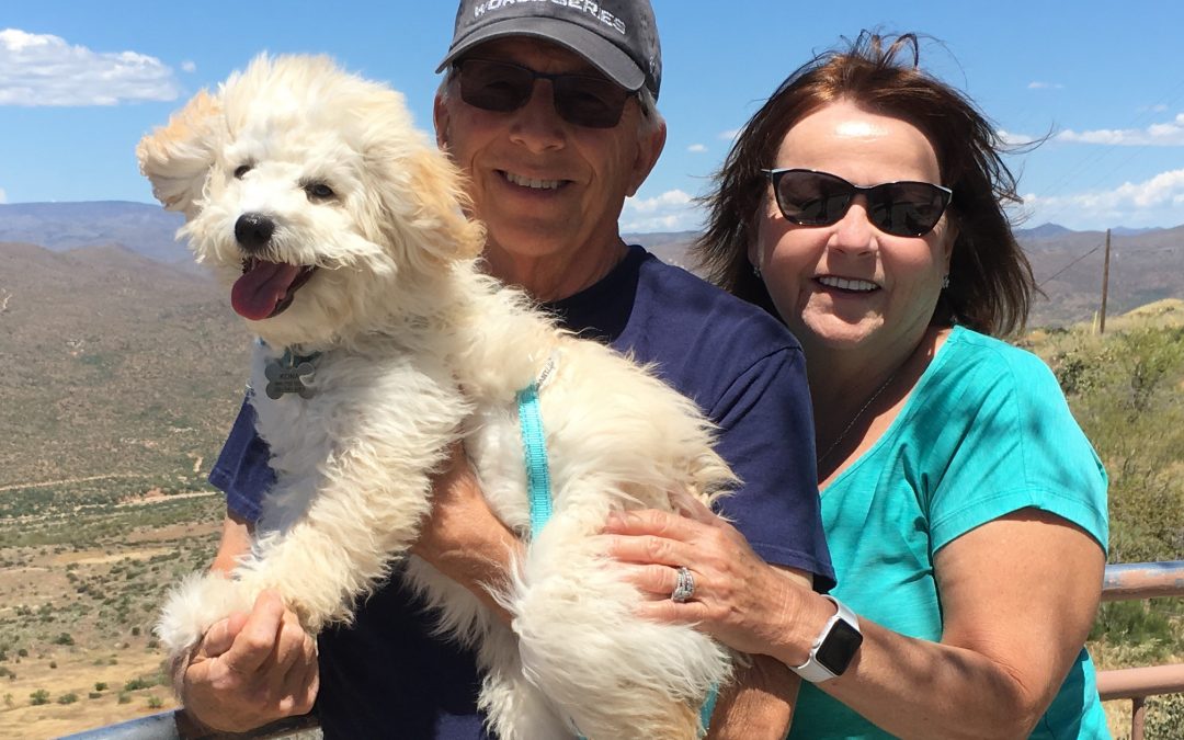 Savvy Pets, 2/7/20:  Awwww, Kona, the mini Goldendoodle … and How to Talk to Your Dog