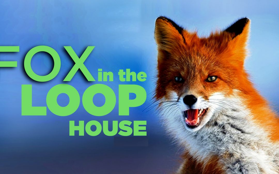 Savvy Updates, 3/16/20:  ViaCytes Encaptra System, Insulin for Seniors, Kenny Fox on Looping, Endo2020 Cancelled