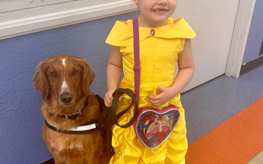 Savvy Pets, 3/6/20:  OMG!  Meet Sherlock, the Lifesaving DAD … and Cuddling and Musical Goldens