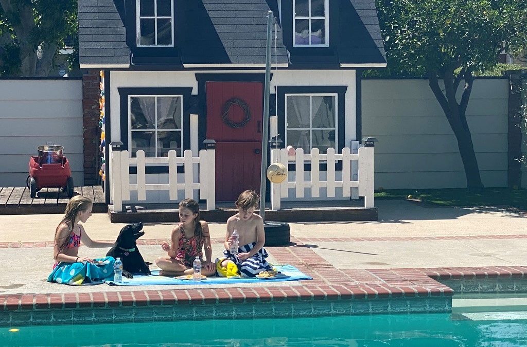 Savvy Pets, 5/1/20:  Hello Polly, the Black Lab! …