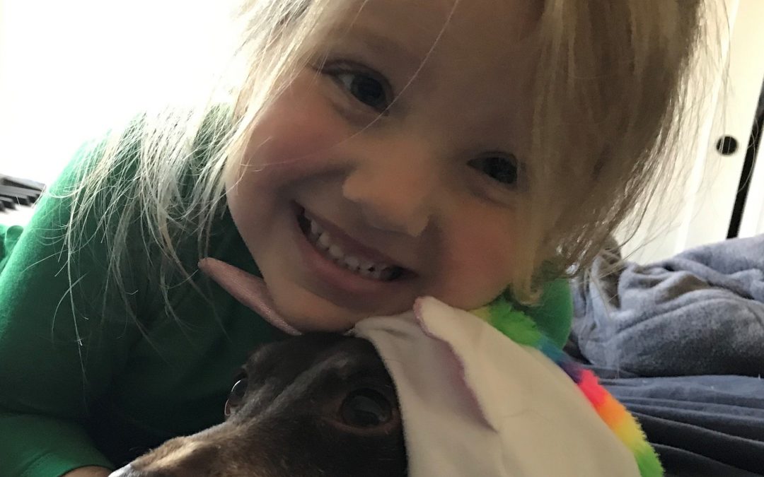 Savvy Pets, 4/17/20:  A Beautiful Day for Doxies … and a Dachshund Photo Shoot