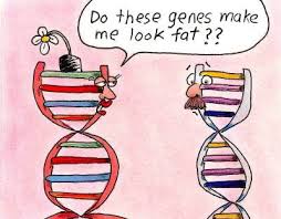 Savvy Food/Eating, 5/26/20: +/- of Low Carb Diets, Responses to Plant-based Eating, The FAT Gene!
