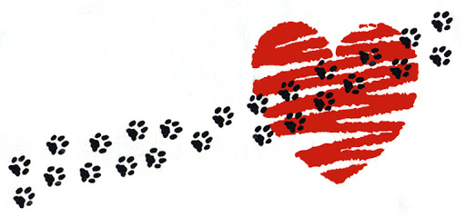 Savvy Pets, 9/4/20:  Happy Labor Day … with some great videos!