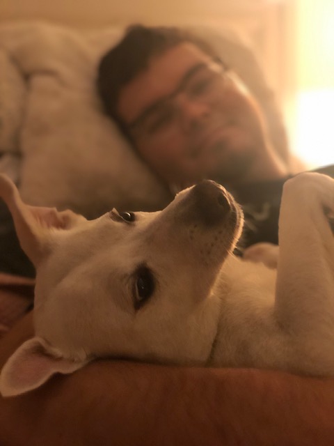 Savvy Pets, 5/22/20:  Happy Birthday, Renly … and Amazing Delivery Dogs during Quarantine