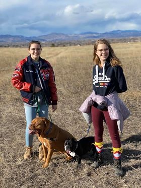 Savvy Pets, 7/24/20:  Joy & Ollie are Sheer Love Pups