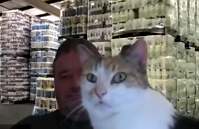 Savvy Pets, 7/10/20:  Willow, the Diabetes Alert Cat … and more!