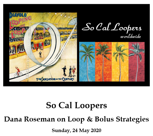 Savvy Looping, 8/19/20:  Loop & Bolus Strategies with Dana Roseman, Integrated Diabetes Servicesjoann