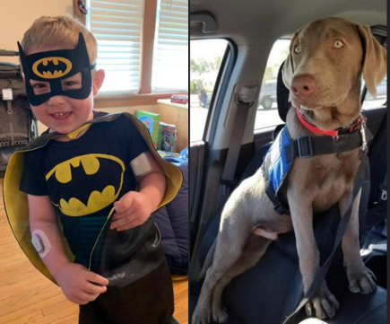 Savvy Pets, 8/14/20:  Diabetes Alert Dogs are COMING!!!  Meet Alex and his soon-to-be DAD, Brody