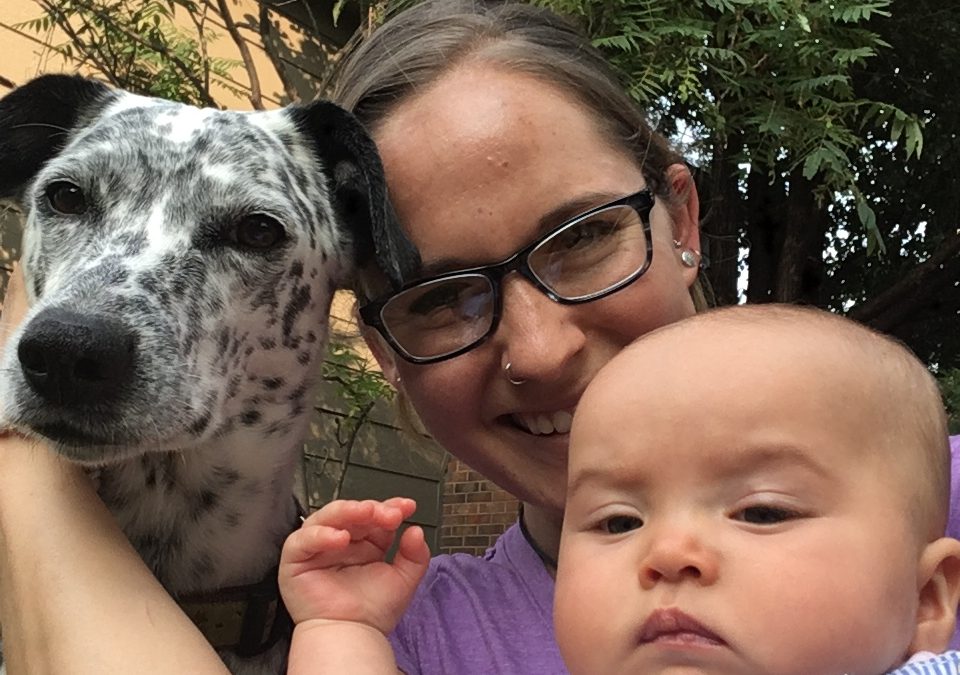 Savvy Pets, 9/11/20:  An AMAZING Pet Bonanza, with Ragz, Papyrus, Cali & Mickey