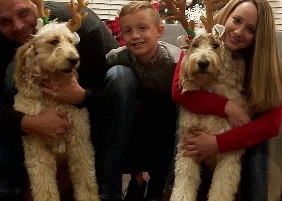 Savvy Pets, 11/13/20: Hello Lexi and Axl, a precious pair of pups!