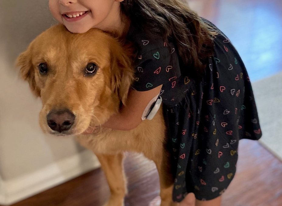 Savvy Pets, 12/4/20:  Meet Sherlock, the SUPER AMAZING Triple Diabetes Alert Dog!