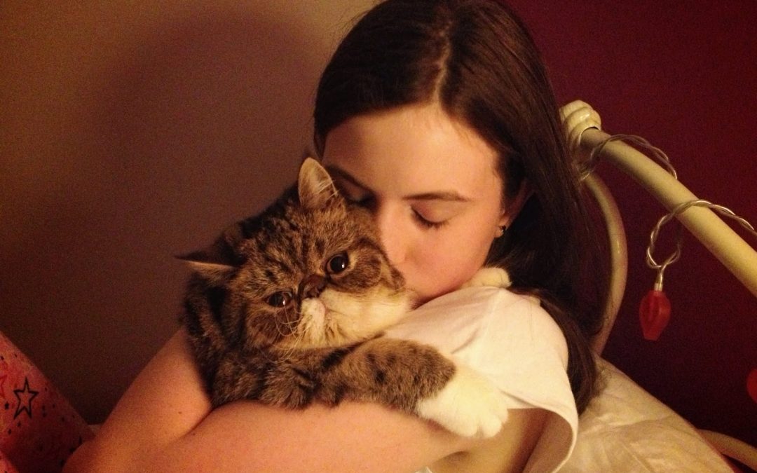 Savvy Pets, 1/15/21:  Gus, Lully and Fezziwig – Awww, gorgeous fluffballs!