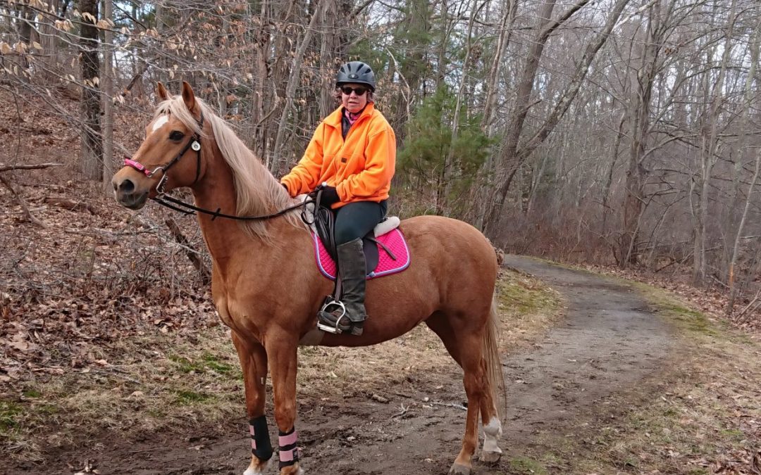 Savvy Pets, 1/8/21:  Whoa, meet Feronia, the diabetes alert mare!!!