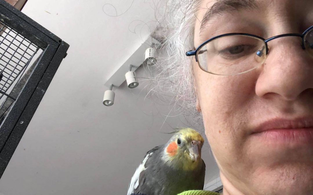 Savvy Pets, 3/12/21:  Birds, including Casey riding shotgun