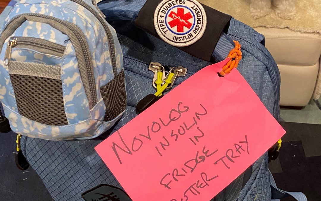 Savvy and Prepared T1D, 7/30/21:  How to Set up Your Personal Medical Resume & Go Bag