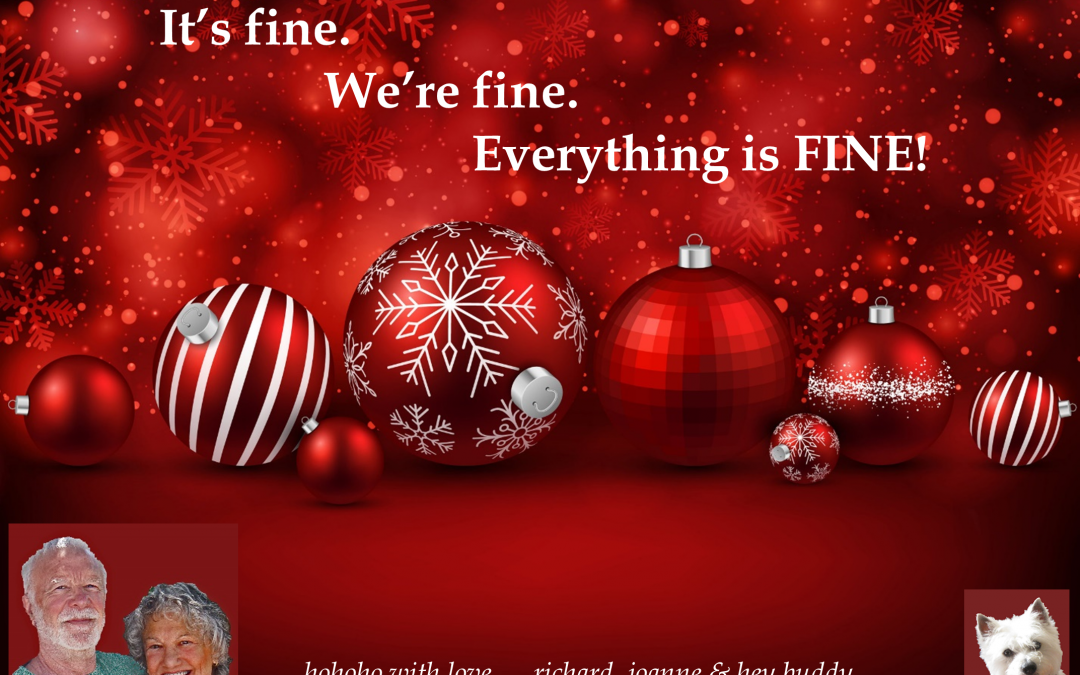 HAPPY Savvy HOLIDAYS!!!!  Have fun, be safe, stay well … living in gratitude!