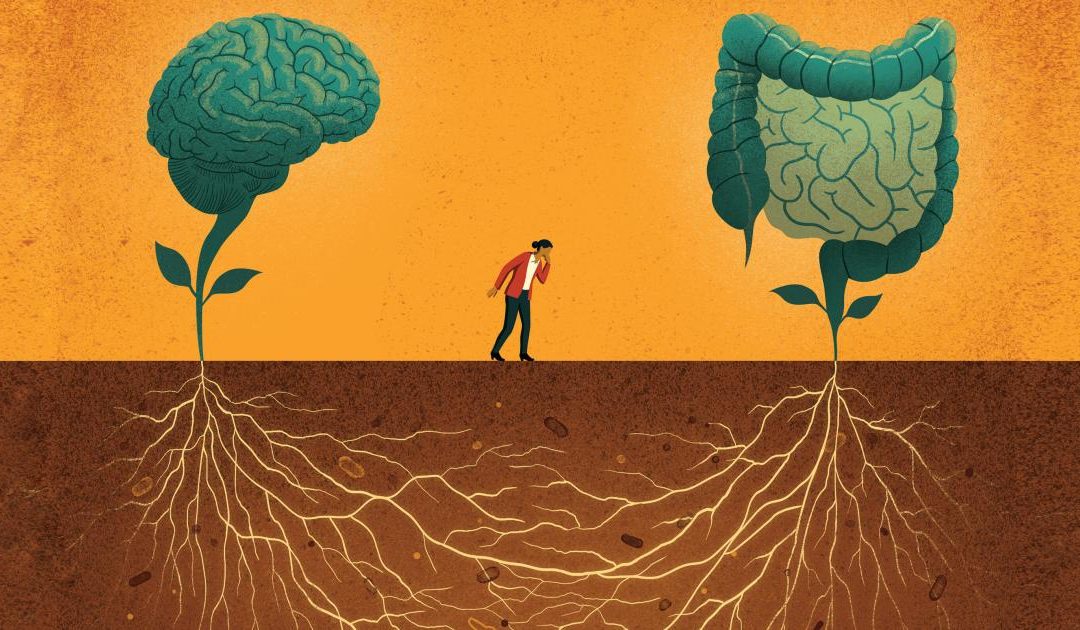 Savvy Update 4/25/22:  Two Types of T1D, Your Gut & BG, Hunger & Brain, CGM Monitoring Start-Ups, Physician Compensation Report 2022, Team-based Diabetes Care