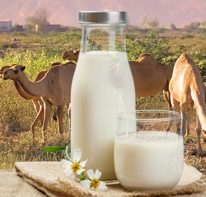 Savvy Foods/Eating 4/13/22:  Potatoes in AM & Veggies in PM, Avocados Cut Heart Disease Risk by 16%, Mushrooms May Talk, Xanthan Gum Affects Gut Microbiota, Camel Milk & Diabetes