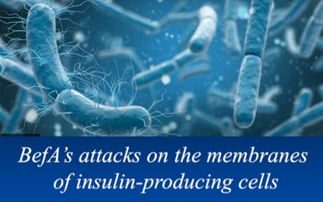 Savvy Updates, 10/17/22:  Dexcom G7 Global Rollout, T2D Drugs Help T1Ds, BefA Gut Bacteria & Beta Cell Production, FDA TAP Pilot Program for New D Devices