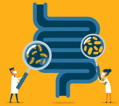 Savvy on Gut Microbiome and Type 1 Diabetes, 3/24/23