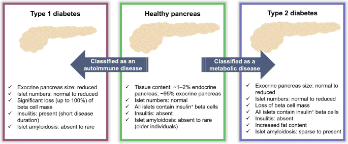 Savvy Updates, 3/20/23: Vertex Cleared for VX-264 Trials, Nemaura Medical & SugarBeat, Insulin Leads to Smaller Pancreas, Insulet Joins S&P500, Insulin Costs & Price Cuts, Sanofi Buys ProventionBio
