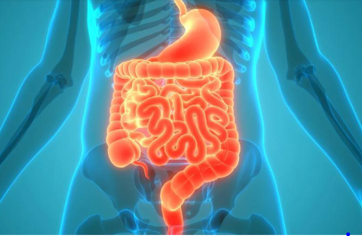Savvy D Living, 5/3/23: TCOYD on Carbs, Digestive Organs Vary, T1D in Hospital, T1D and Teeth, Burden of T1D Living, About Hair