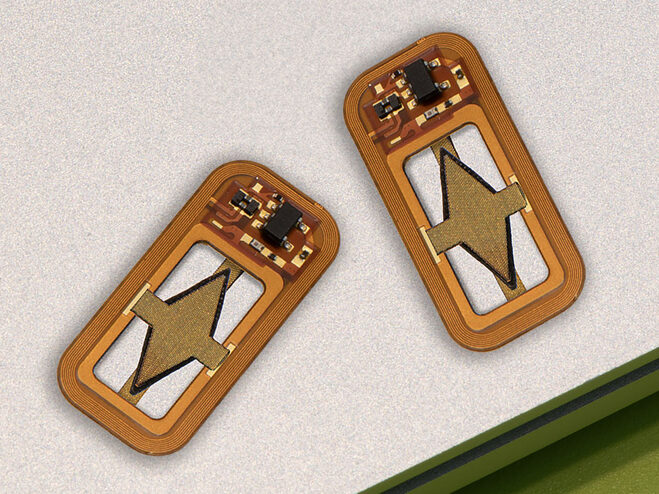 Savvy  Updates, 4/8/24: Implantable BioArtificial Pancreas, Biolinq NI CGM, Adult-Onset T1D Data, Pig Kidney Transplant Patient Goes Home, Sea Blackthorn Antioxidant, Best Grains for T1D, T1D Rights in the Workplace, Riva Greenberg Flourishing, Mini Dosing with Glucagon/TCOYD