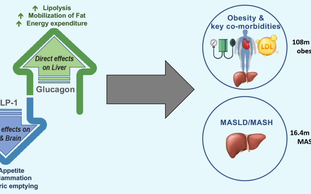 Savvy Updates 7/1/24: Senseonics 365-day CGM, Dana Lewis on Exocrine Pancreatic Insufficiency, Apple/Fitbit/Garmin & Bacteria, Low-Dose SGLT2 Inhibitor May Protect Kidneys, Dual GLP-1 & Glucagon Agonist Pemvidutide, How GLP-1 Receptor Agonists Work