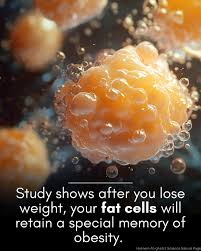 Savvy Updates 6/2/2025:  Cooking DOES NOT Replace Insulin; Sex-Specific Precision Medicine in D Tech; Clinical Trial Oral Hypoglycemia Medication Cadisegliatin; Fat Cells “Remember” Obesity after Weight Loss; Loneliness is Deadly; TSA Warns of “Juice-Jacking” of Smartphones, Devices at Airports; Clinical Trial for Oral Insulin Tregopil; CVS/Cigna Sue Arkansas Re New PBM Law; Call Centers Being Replaced by AI