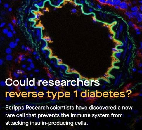 Savvy Updates 11/3/25