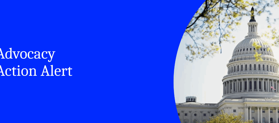 Savvy Updates 11/17/25