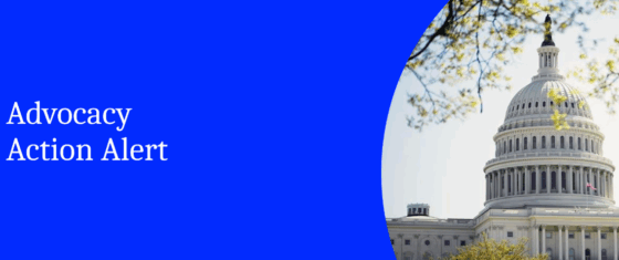 Savvy Updates 11/17/25